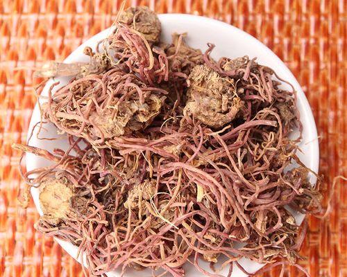 探秘“返魂草”的传说（中药界神奇的植物——返魂草）