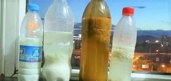 酸奶兑水可以浇花吗？——解决您的疑惑（探究酸奶兑水浇花的真相，告诉您如何正确使用）
