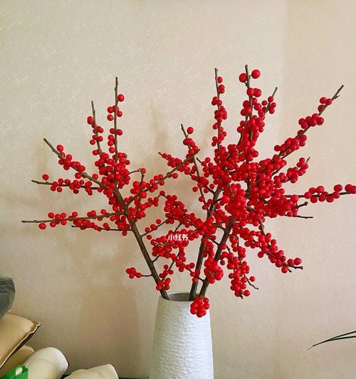 家里种冬青，美化环境又实用（为什么要种冬青？如何种植冬青？冬青的优缺点是什么？）