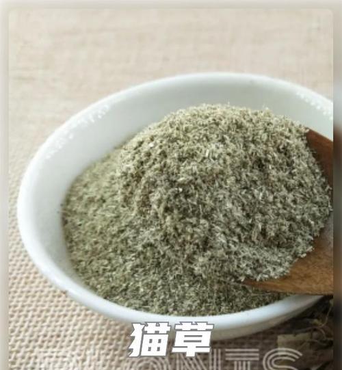 探秘神秘的猫耳草世界（了解猫耳草的外观、栽培和药用特性）
