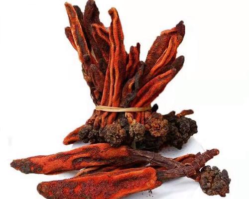 草苁蓉——美容养生佳品（探寻草苁蓉的神奇功效及多种食用方法）