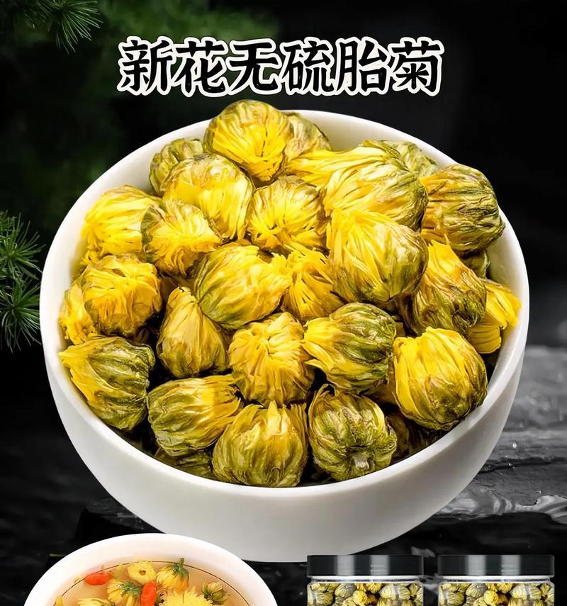 家里也能种出美丽的白菊花（种植技巧大揭秘，让你成为小资种花达人）