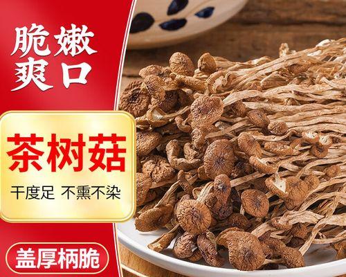 以香菇催花（探索香菇的催花神奇力量，让花园焕发绚丽色彩）