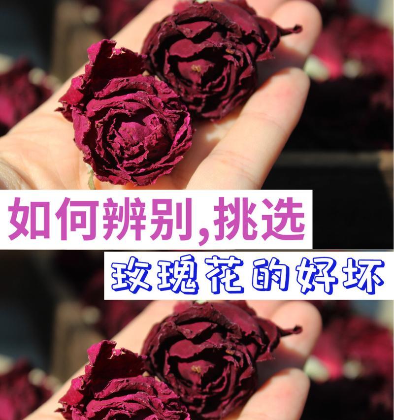 如何辨别花卉的优劣？（通过观察、嗅闻和触摸来判断花卉的品质）