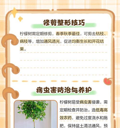 青柠檬树养殖指南（全面了解青柠檬树的栽培方法及注意事项）