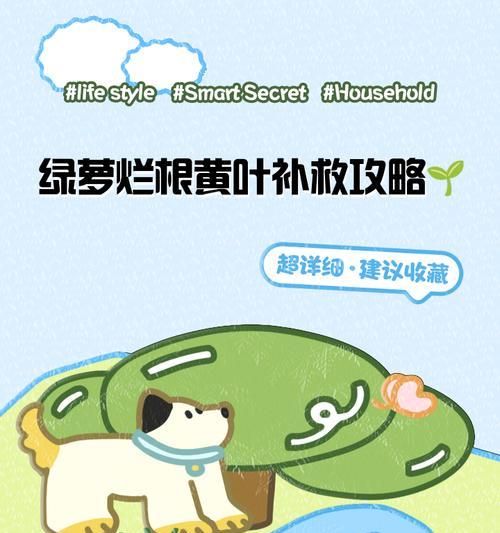 如何解决绿箩下垂问题（有效方法帮助您解决绿箩下垂难题）
