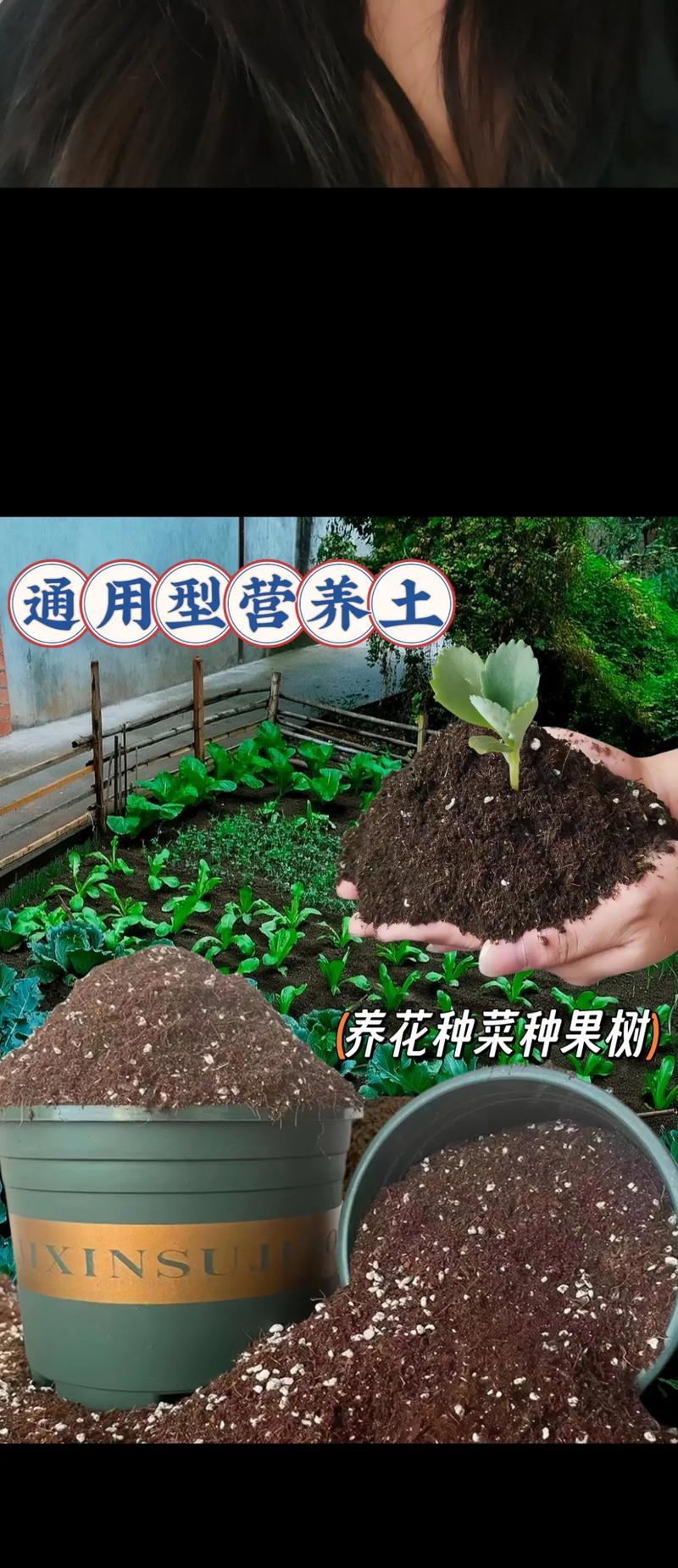 花草缺乏营养的解决方法（培养健康花草的关键措施）