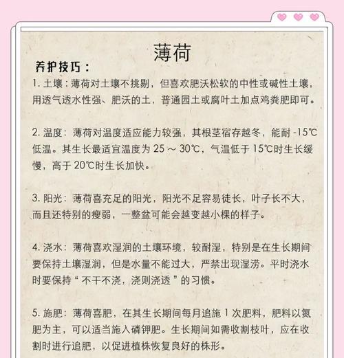 探秘薄荷种子的来源与获取（从传统采摘到现代种植，揭秘薄荷种子的秘密）
