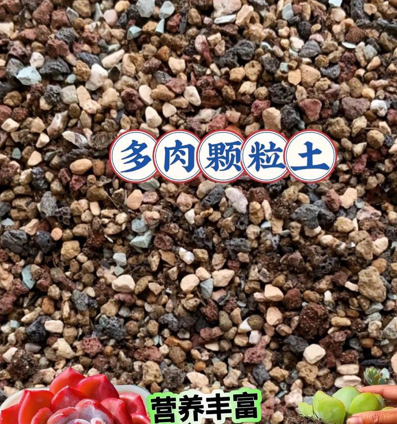 解决多肉土壤结块问题的方法（改善土壤结块，让多肉茁壮成长）