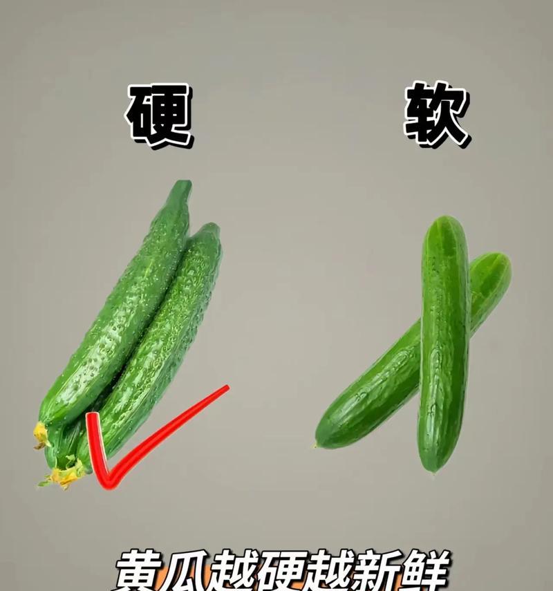 如何正确保存蔬菜？（蔬菜保存期限及储存技巧。）