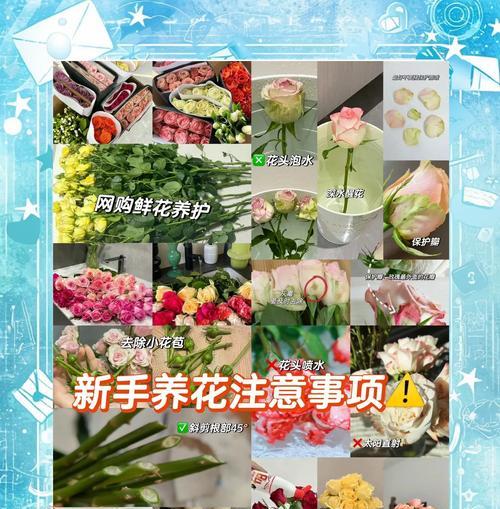 花期的维持与延长