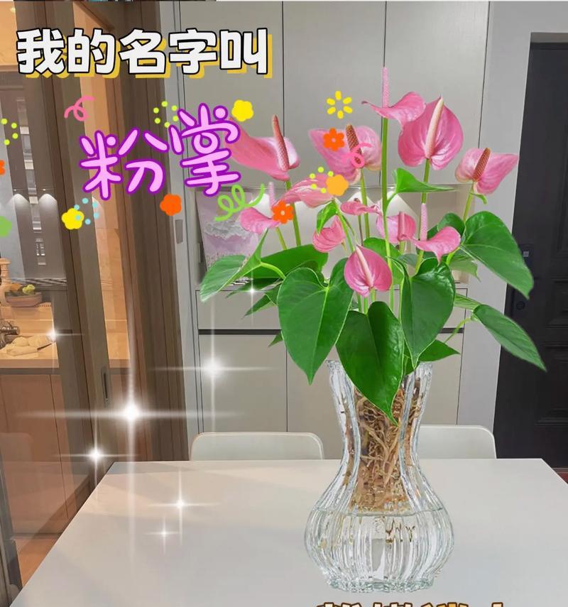 解决冬季水培粉掌叶子发黄的有效方法（怎样使冬季水培粉掌叶子恢复翠绿生机）