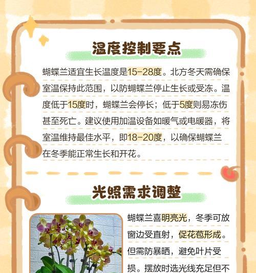 蝴蝶兰如何应对冬季低温（冬天是否会影响蝴蝶兰的生长？如何保护蝴蝶兰不受冻害？）