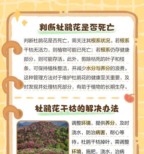 杜鹃花叶子发黑落叶的原因及处理方法（探寻杜鹃花叶子发黑落叶的根源，解决你的困扰）