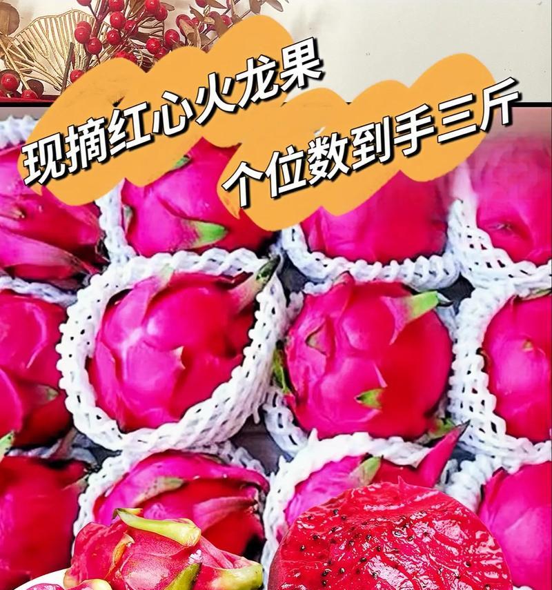 探秘火龙果肉的多彩世界（从颜色到口感，一次全方位的火龙果之旅）