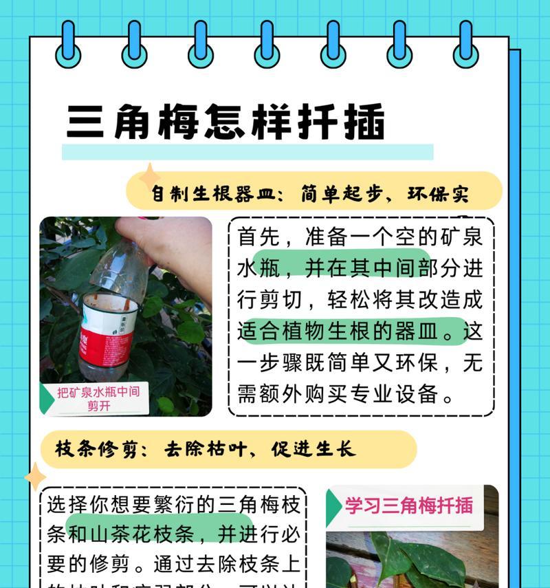 如何剪开塑料瓶（简易方法及注意事项）