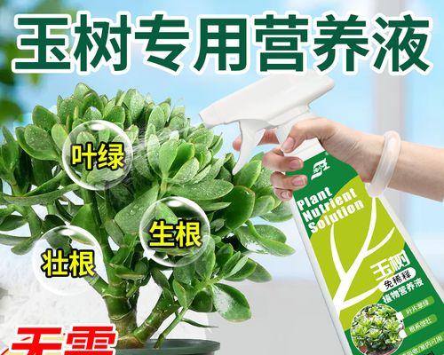 植物催根的方法与技巧（探索植物催根的奥秘及实践经验）