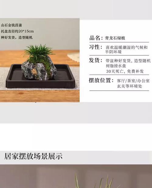 以金钱菖蒲繁殖为主题的文章（探索金钱菖蒲的繁殖技巧，助你打造花园的瑰丽景观）