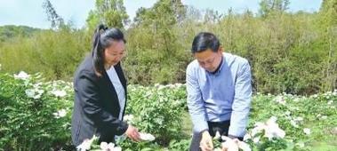以牡丹花开过了，施肥养护不可忽视（牡丹施肥养护小贴士，让花朵绽放更美）