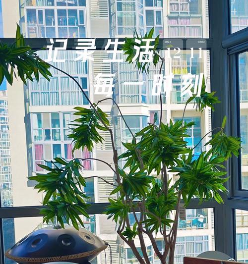 百合竹的种植技巧（打造美丽庭院的必备之一——百合竹种植指南）
