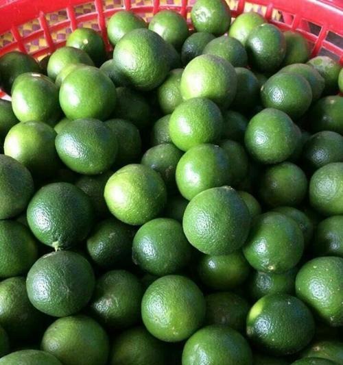 柠檬产量高吗？——揭秘柠檬亩产量及种植技术（柠檬产业的发展趋势、种植技巧与优质产量的研究）