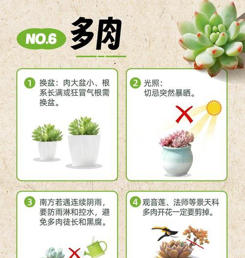 室内养花的通风方法（打造舒适花园环境的关键）