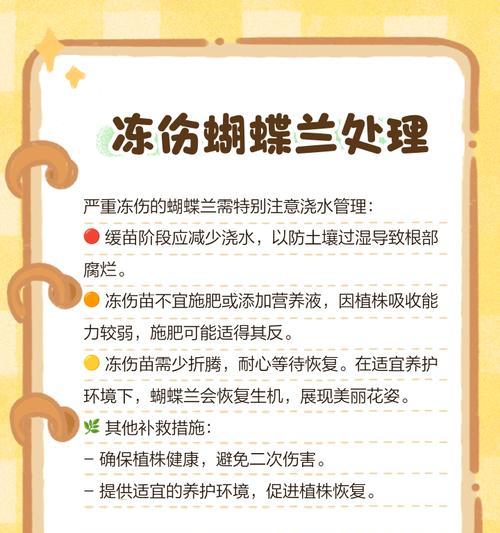 如何处理蝴蝶兰叶子打蔫问题（解决蝴蝶兰叶子打蔫的有效方法）