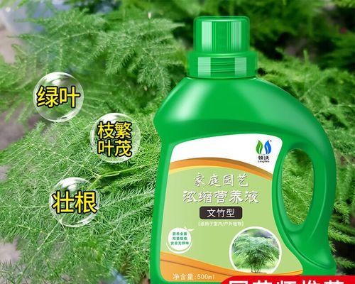 如何解决水培文竹叶发黄问题（水培文竹叶发黄的原因及解决办法）