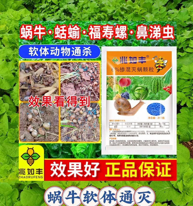 从植物中去除蛞蝓的有效方法（生态友好、简单易行的蛞蝓防治策略）
