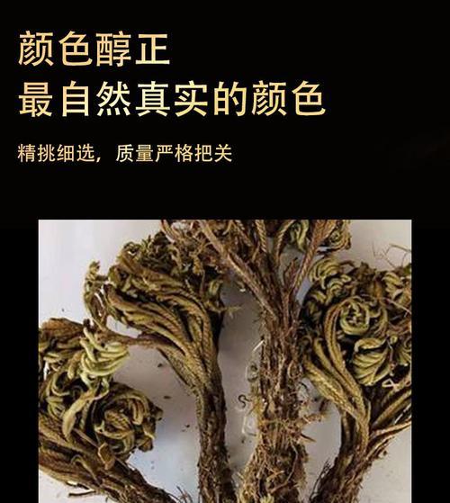 九死还魂草的养殖与注意事项（打造丰盛的草药园，重点关注育种技巧，培育高品质九死还魂草）