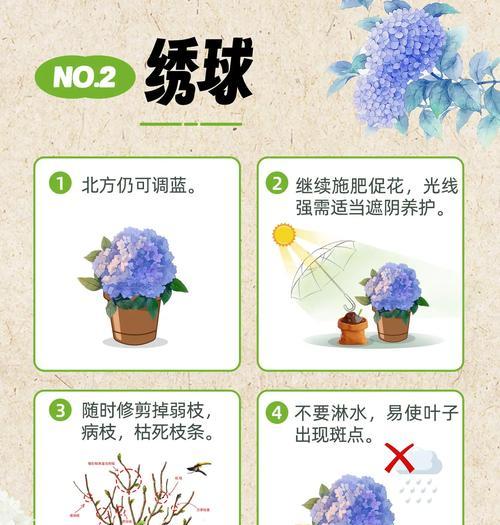 花月夜的养护技巧（打造爆盆花月夜，从这里开始！）