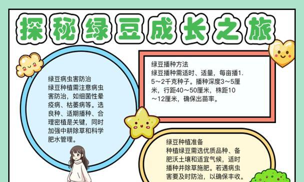 绿豆种植全攻略（时间、方法、养护，一步步教你种出丰收好豆！）