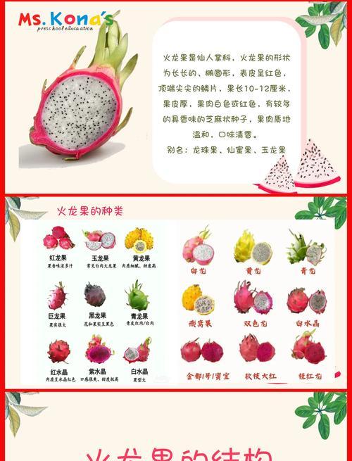 火龙果种植全攻略（了解火龙果种植的关键要素和技巧，轻松打造自己的火龙果园）