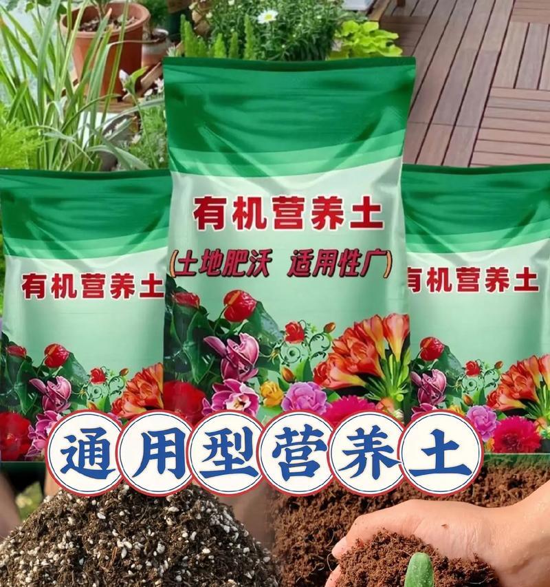 花土之美（探索花土的奥秘，打造梦幻般的花园景观）