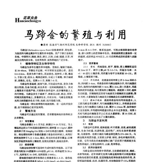 金之间的繁殖之谜（揭秘金之间的繁殖过程及关键因素）