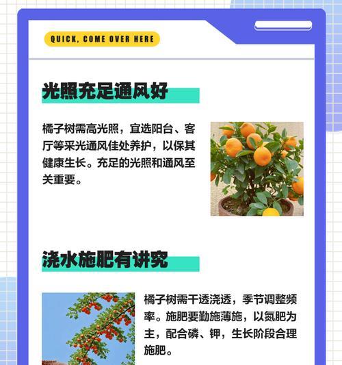 盆栽橘子和柠檬的养护秘籍（打造健康盆栽水果园的技巧与经验）