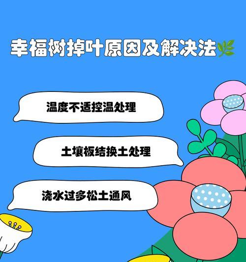 探秘幸福树卷卷叶的神奇之处（解密幸福树卷卷叶的形成过程与功效）