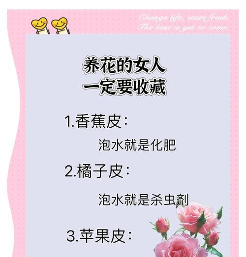 如何有效养护袖珍花（室内花卉养护技巧及注意事项）