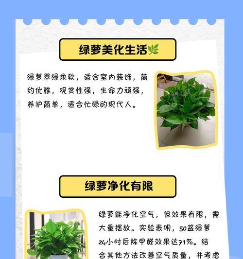 绿萝为何在卧室里离奇死亡？（揭秘室内环境对绿萝生存的重要影响）