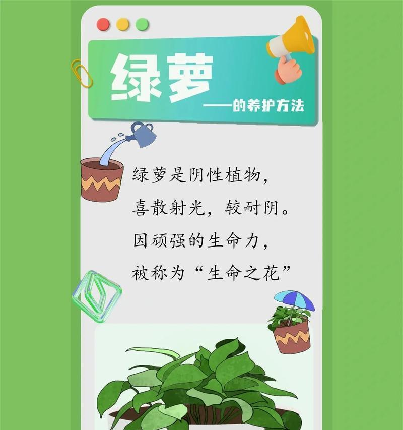 挽救枯萎的绿萝，让它重焕生机（如何正确护理绿萝，让它重新茁壮成长）