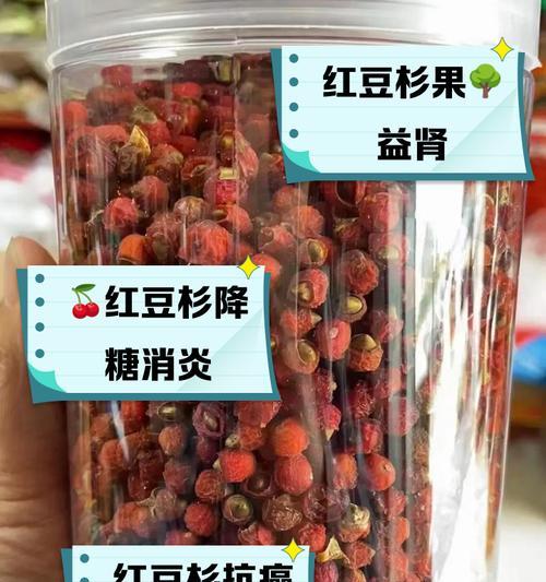 红豆杉种子的营养价值及食用方法（探究红豆杉种子中的营养成分和烹饪技巧，拓展美食新领域）