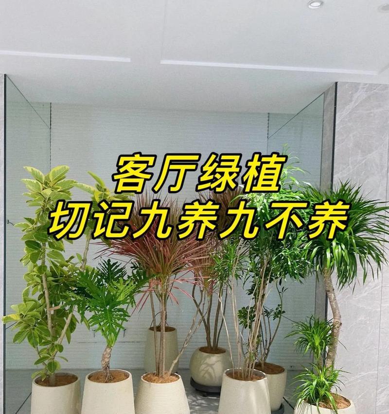 探究最佳植物养护方法（以结果为导向的植物养护指南）