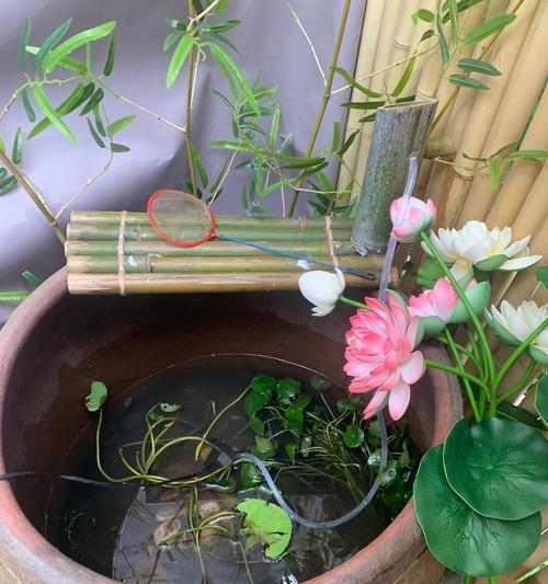 在家种植荷花子的技巧（轻松掌握荷花子种植方法，打造美丽花园）