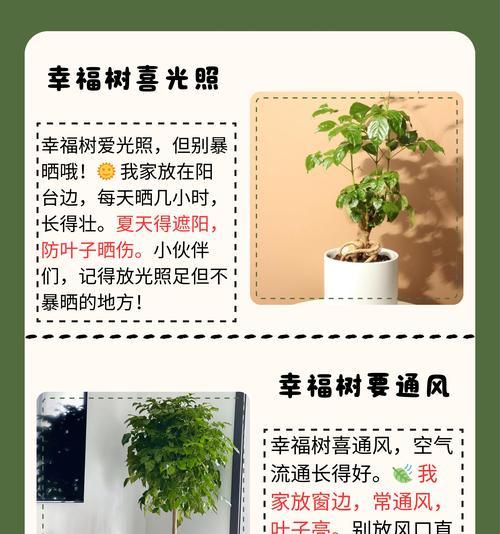 如何让幸福树重新焕发光彩（探索幸福树失去光明的原因与解决方法）