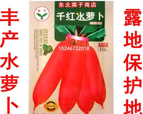 胡萝卜种子的种植方法（从选种到收获，教你种出美味可口的胡萝卜）