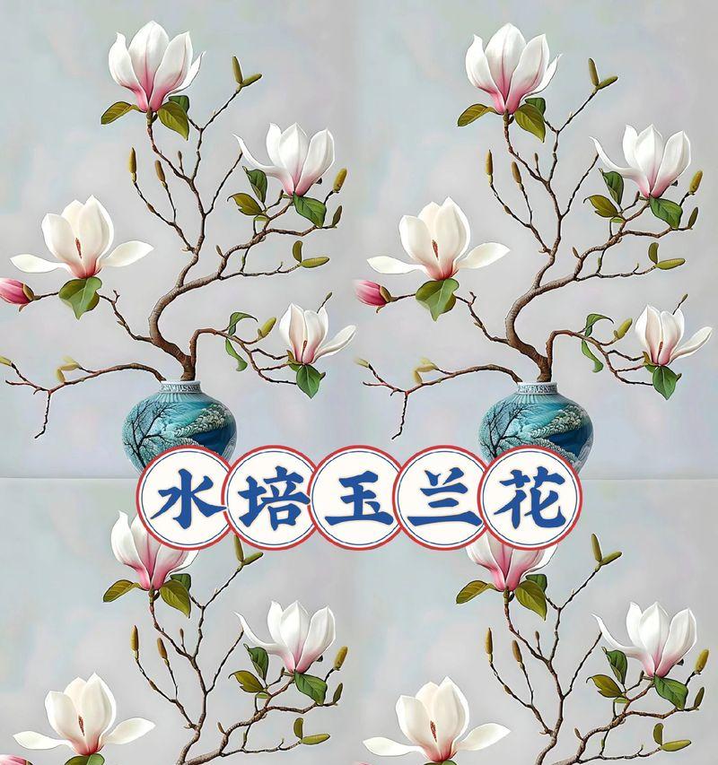白玉兰的养殖技巧与注意事项（打造清新雅致的花园——学会正确养护白玉兰）