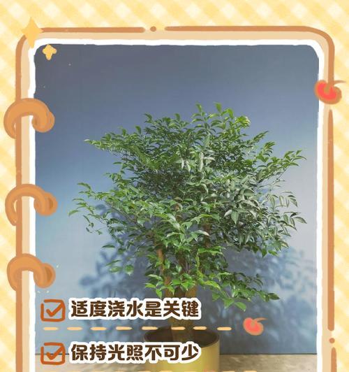 如何处理掉落的叶子（环保又有趣，利用掉落的叶子做手工艺品）