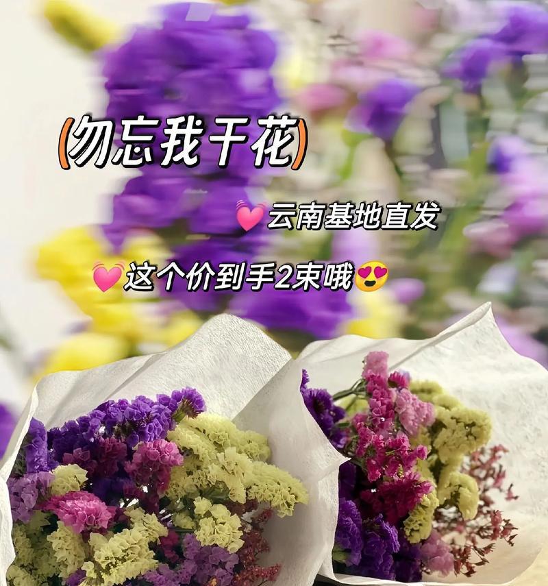 怎样种植勿忘我（培育美丽的勿忘我花园）
