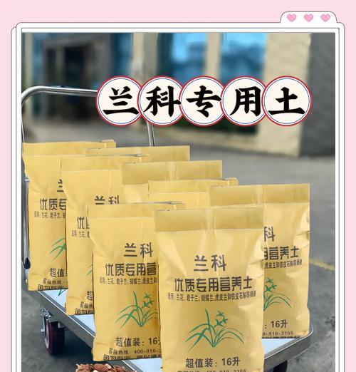 兰花换盆换土的全面指南（兰花换盆换土必备技巧，从选盆到换土全面了解）