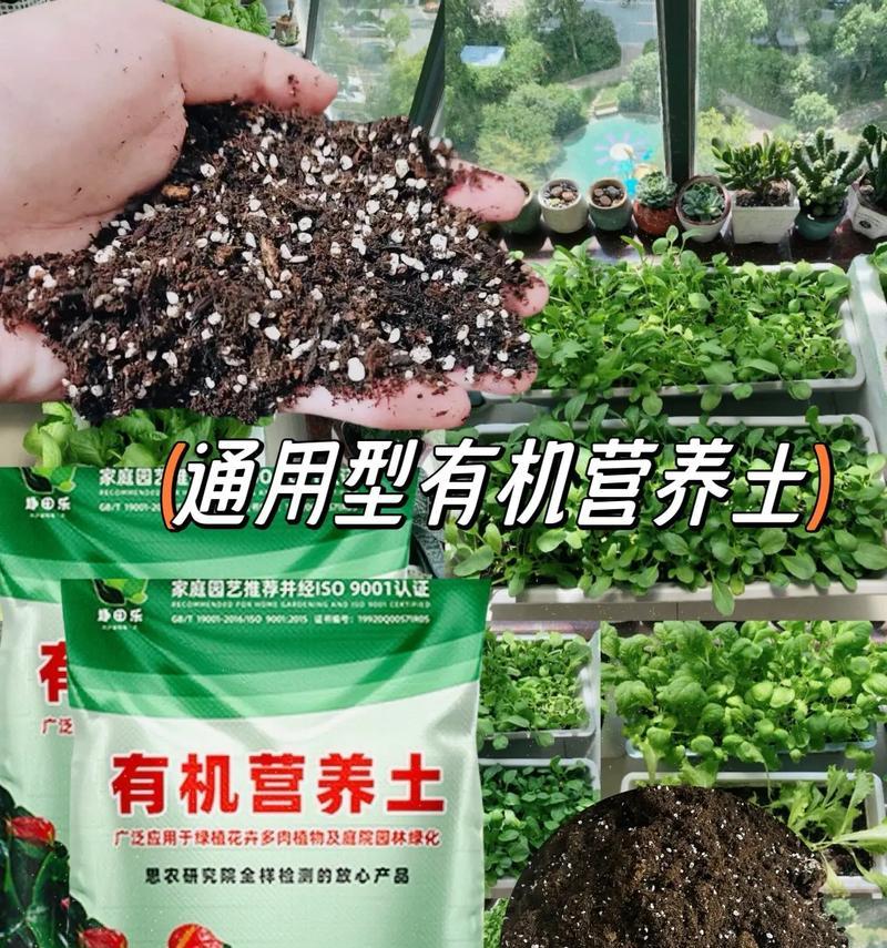 生产高质量花木营养土的关键技术（掌握制作花木营养土的方法，打造出优质植物生长环境）
